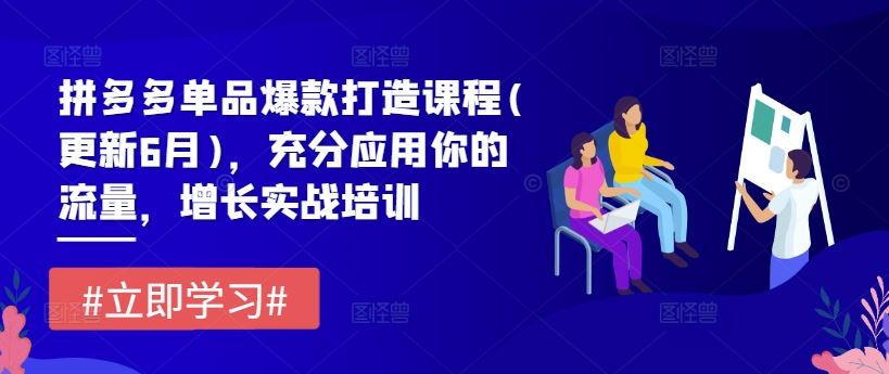 拼多多单品爆款打造课程(更新6月)，充分应用你的流量，增长实战培训-轻创淘金网