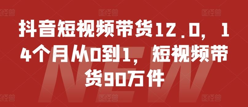 抖音短视频带货12.0，14个月从0到1，短视频带货90万件-轻创淘金网