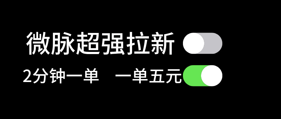 （11580期）微脉超强拉新， 两分钟1单， 一单利润5块，适合小白-轻创淘金网