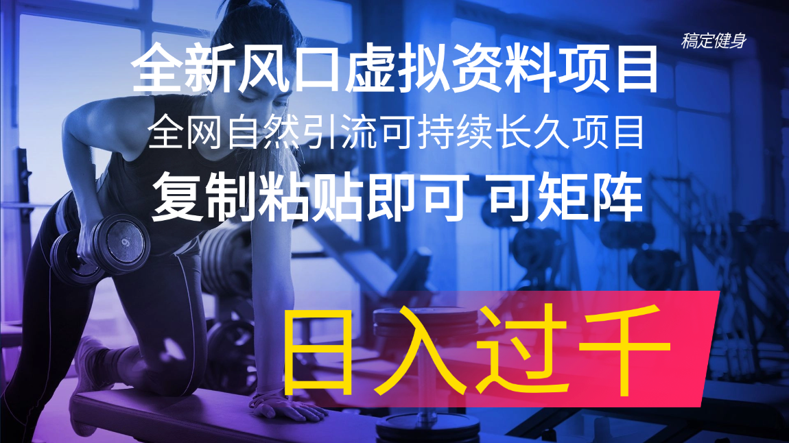 （11587期）全新风口虚拟资料项目 全网自然引流可持续长久项目 复制粘贴即可可矩阵…-轻创淘金网