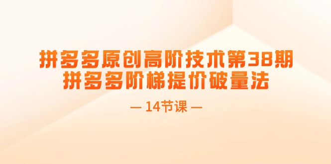 （11704期）拼多多原创高阶技术第38期，拼多多阶梯提价破量法（14节课）-轻创淘金网