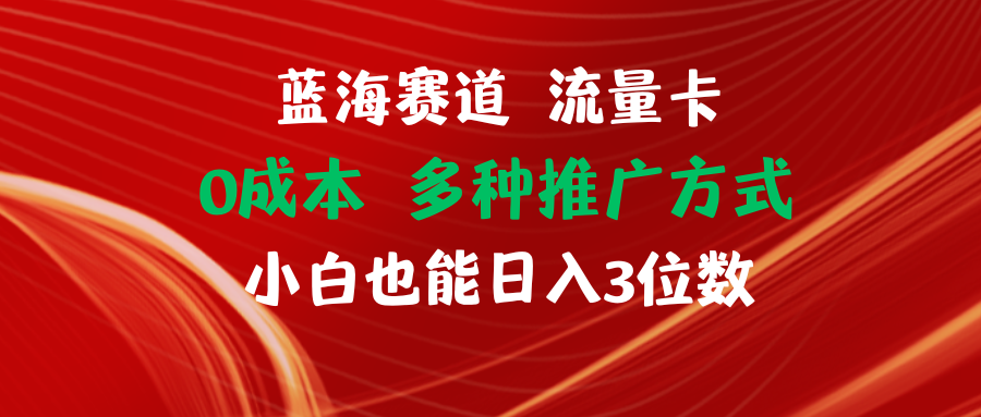 （11768期）蓝海赛道 流量卡 0成本 小白也能日入三位数-轻创淘金网