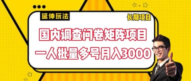 国内调查问卷矩阵项目，一人批量多号月入3000【揭秘】-轻创淘金网