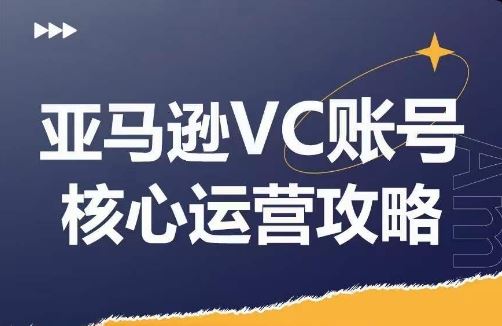 亚马逊VC账号核心玩法解析，实战经验拆解产品模块运营技巧，提升店铺GMV，有效提升运营利润-轻创淘金网