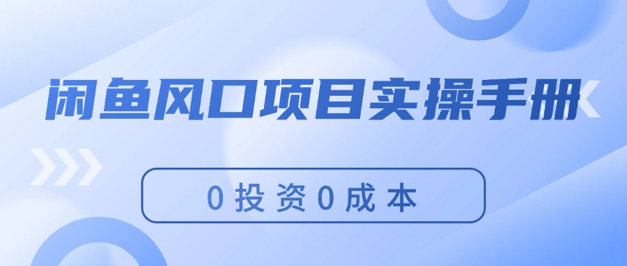 （11923期）闲鱼风口项目实操手册，0投资0成本，让你做到，月入过万，新手可做-轻创淘金网