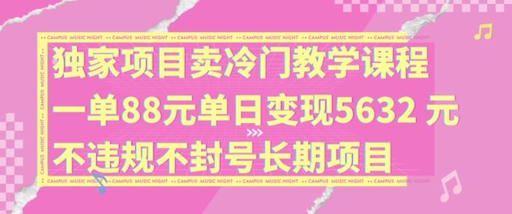 独家项目卖冷门教学课程一单88元单日变现5632元违规不封号长期项目【揭秘】-轻创淘金网