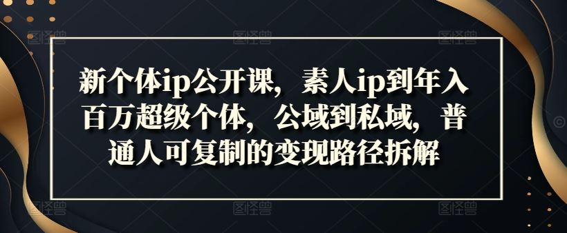 新个体ip公开课，素人ip到年入百万超级个体，公域到私域，普通人可复制的变现路径拆解-轻创淘金网