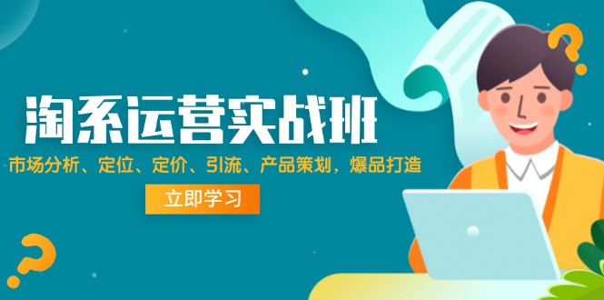 （12186期）淘系运营实战班：市场分析、定位、定价、引流、产品策划，爆品打造-轻创淘金网