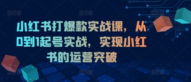 小红书打爆款实战课，从0到1起号实战，实现小红书的运营突破-轻创淘金网