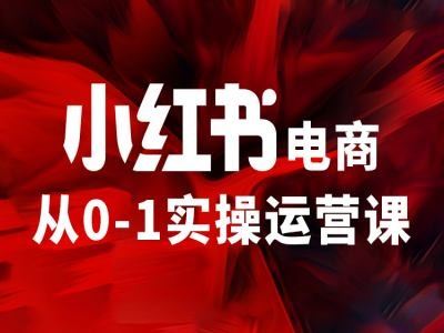 小红书电商从0-1实操运营课，让你从小白到精英-轻创淘金网