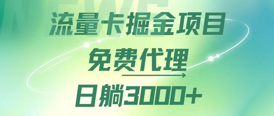 （12321期）流量卡掘金代理，日躺赚3000+，变现暴力，多种推广途径-轻创淘金网