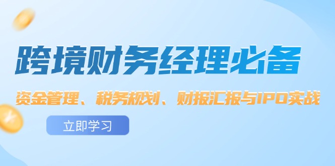 （12323期）跨境 财务经理必备：资金管理、税务规划、财报汇报与IPO实战-轻创淘金网