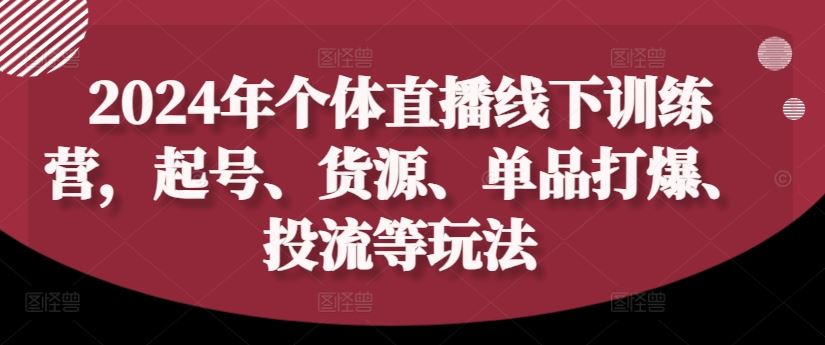 2024年个体直播训练营，起号、货源、单品打爆、投流等玩法-轻创淘金网