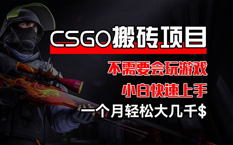 （12332期）CSGO 装备搬砖项目，操作简单，不需要会玩游戏，小白也能快速上手，一…-轻创淘金网