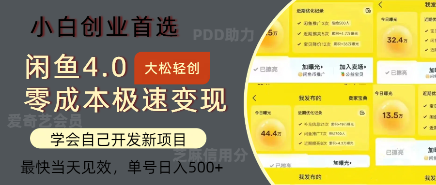 （12434期）闲鱼0成本极速变现项目，多种变现方式 单号日入500+最新玩法-轻创淘金网