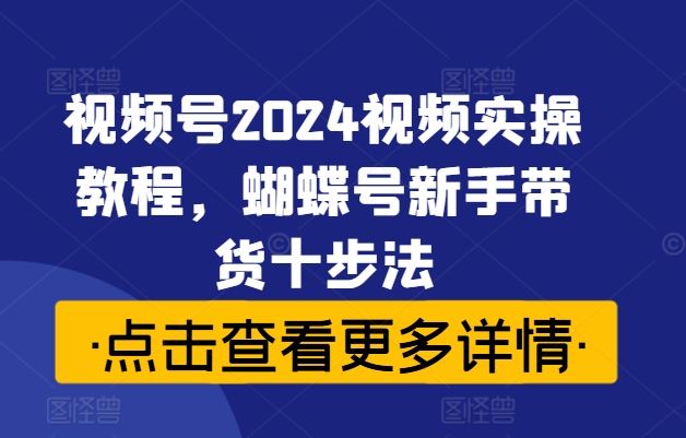 视频号2024视频实操教程，蝴蝶号新手带货十步法-轻创淘金网