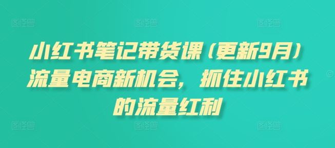 小红书笔记带货课(更新9月)流量电商新机会，抓住小红书的流量红利-轻创淘金网