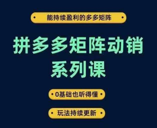 拼多多矩阵动销系列课，能持续盈利的多多矩阵，0基础也听得懂，玩法持续更新-轻创淘金网